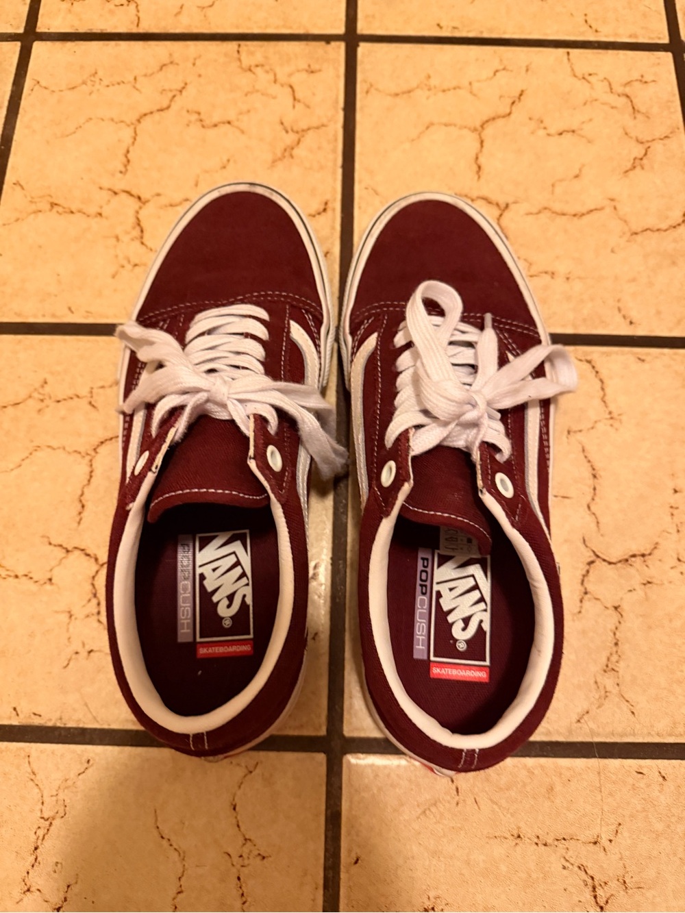Vans Men’s Maroon Skate Shoes